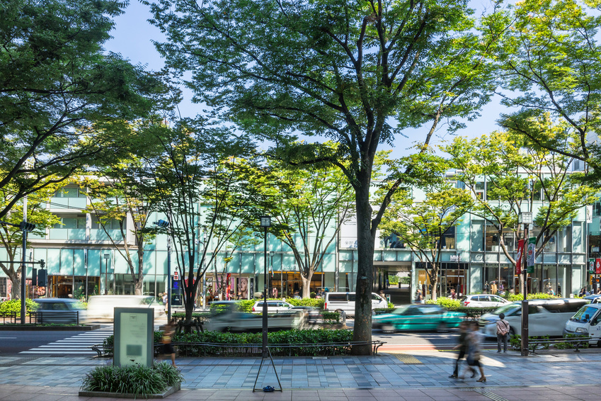 表参道・原宿エリア